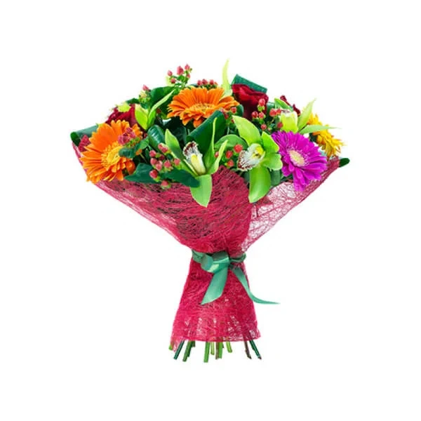 Anthurium Saksı #066